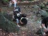 camp23 (219)_samu.gif